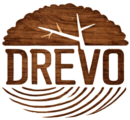 Лого без подложки